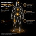 Вітамінно-Мінеральні Препарати Victorious Nutrition 200 Veg