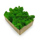 Мох крабовый Альпийский Премиум 50г нетто