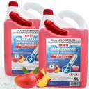 ZIMOWY PŁYN DO SPRYSKIWACZY -22°C ZAPACHOWY 10L DLA WSZYSTKICH PARAGON FV