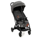 Детская коляска Coto Riva Len Grey