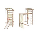 ДОМАШНЯЯ ПЛОЩАДКА ЧЕМПИОНСКАЯ ЛЕСТНИЦА ДО 100 КГ