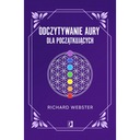 Чтение ауры для начинающих Ричард Вебстер