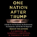 One Nation After Trump - E.J. Dionne, Jr.