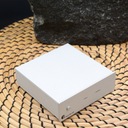 Pro-Ject Phono Box S2 - stříbrný Ovládání manuální