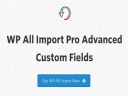 Плагин Soflyy Wp All Import Pro Advanced Custom F