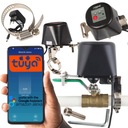 ГАЗОВЫЙ КЛАПАН ПРИВОД КОНТРОЛЛЕР УМНЫЙ ДОМ WIFI TUYA ZigBee + БЛОК ПИТАНИЯ
