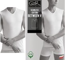 Pánske tričko GATTA COTTON V BETWEEN S 2-pack MIX EAN (GTIN) 5904383924197