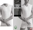 Pánske tričko GATTA COTTON V BETWEEN XL 2-pack MIX EAN (GTIN) 5904383924197