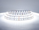 Лента дневного света 120LED 5000K/Ra90 9,6Вт/24В 8мм*5м GW3 RISHANG