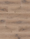 ВНЕВРЕМЕННАЯ ДОСКА ВДОХНОВЕНИЕ ПОЭТА 1R 2G BALTIC WOOD