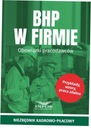 BHP w firmie Obowiązki pracodawców Nośnik książka papierowa