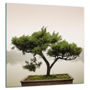 СТЕКЛО ЗАЩИТНАЯ ДОСКА КЛЕЙНАЯ ПАНЕЛЬ 60х65 ДЕРЕВО