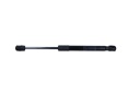 FEBI BILSTEIN 104116 SPRING GAZOWA, COVER CAMERAS ENGINE  photo 15