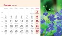 Календарь настольный 2024 стоячий ФОТО 19,5х11см ЦВЕТЫ