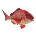 Živý odolný chňapal Sea Life Animal Red Kód výrobcu Fairytre-57044681