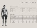 Шорти Arena Синій Чоловічий