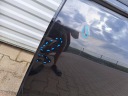 DOOR REAR BACK LEFT VW VOLKSWAGEN TIGUAN II 5NA  photo 6