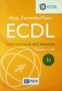 Программа использования базы данных ECDL, версия 5 0