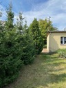 Działka, Wiry, Komorniki (gm.), 1250 m² Ogrodzenie brak