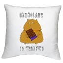 ПОДУШКА ПИЦЦА ШОКОЛАДНЫЕ ПЕЛЬМЕНИ ТОРТ ВАРЕНЬЕ УЗОРЫ