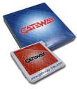 Программист Gateway 3DS