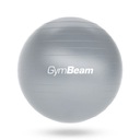 НАСОС ДЛЯ ФИТНЕС-РЕАБИЛИТАЦИИ ГИМНАСТИЧЕСКИЙ МЯЧ - GymBeam 65см