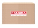 KAMOKA T0259 SIURBLYS VANDENINĖ nuotrauka 2