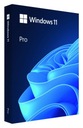 USB-флеш-накопитель Windows Pro 11, 64-разрядная версия PL, HAV: