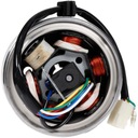 ЗАЖИГАТЕЛЬ С МАГНИТОМ для квадроцикла 110cc 4T Moretti