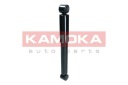 KAMOKA 2001024 SILENCIEUXphoto 15