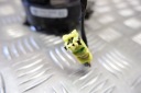 BAGUE SLIZGOWY CAOUTCHOUC NISSAN JUKE (F15) 255546CA0A 1.0L GASOLINEphoto 9
