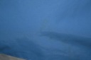 Піджаки Rossi Синій 152 Км 152 Cm