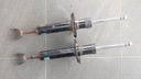2x Передний амортизатор 1BA Bilstein 22-031167 PNE-3116