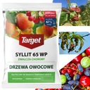 SYLLIT 65WP 45г ГРИБКОВАЯ ПЯШКА КУРЬЕВАЯ ПЯТНОСТНОСТЬ ЛИСТА