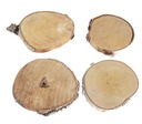Кусочки сухой древесины, берёзовые диски, 10-15 см.