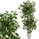 SZTUCZNE DRZEWKO FIKUS ROŚLINA KOMPOZYCJA DEKORACJA DOM BIURO PREMIUM