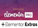 Плагин Elementor Pro для WordPress + дополнительный бонус!