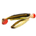 Резина 3D Fat Minnow T-Tail Savage Gear 10,5 см 11 г M