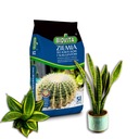 Ziemia do SUKULENTÓW Zamiokulkas, HOYA BIOVITA 5