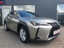 Lexus UX BUSINESS Przebieg 47388 km