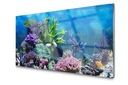 Стеклянная панель Плитка для аквариума с рыбками 140x70