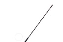 MINI R58 R60 R61 ANTENNE 9803844photo 2