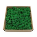 250 г чистого очищенного оленьего мха