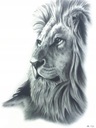 Татуировка рука нога моющаяся лев лев животное грива морда король лев стильный