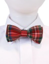 Мужской галстук-бабочка в клетку RED