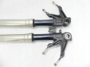 ЛАГА GOLEN ЦАПФА L ПІДВІСКА DUCATI EVO 848 1098 1198  (18179908014) фото min 6