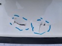 VW GOLF VIII 5H6 BERLINE COMPACTE R-LINE PARE-CHOCS ARRIÈRE 5H6807421 D ORIGINALphoto 8