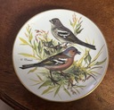 TIRSCHENREUTH декоративная тарелка Bradex birds