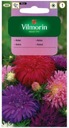 NASIONA Aster chryzantemowy MIESZANKA VILMORIN 1,5g Waga 1.5 g