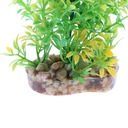 Płazy Terrarium dla gadów Żywa trawa Bonsai Dekoracja 1A EAN (GTIN) 0791714241864